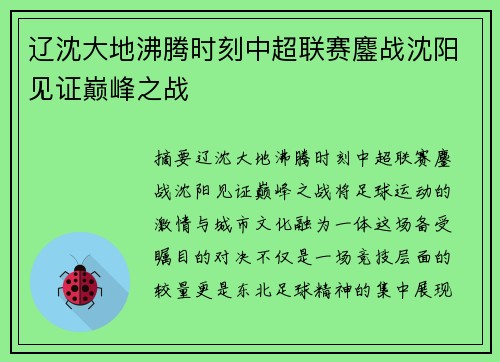 辽沈大地沸腾时刻中超联赛鏖战沈阳见证巅峰之战